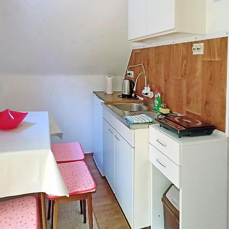 Apartman Duric Apartman Donji Milanovac Kültér fotó