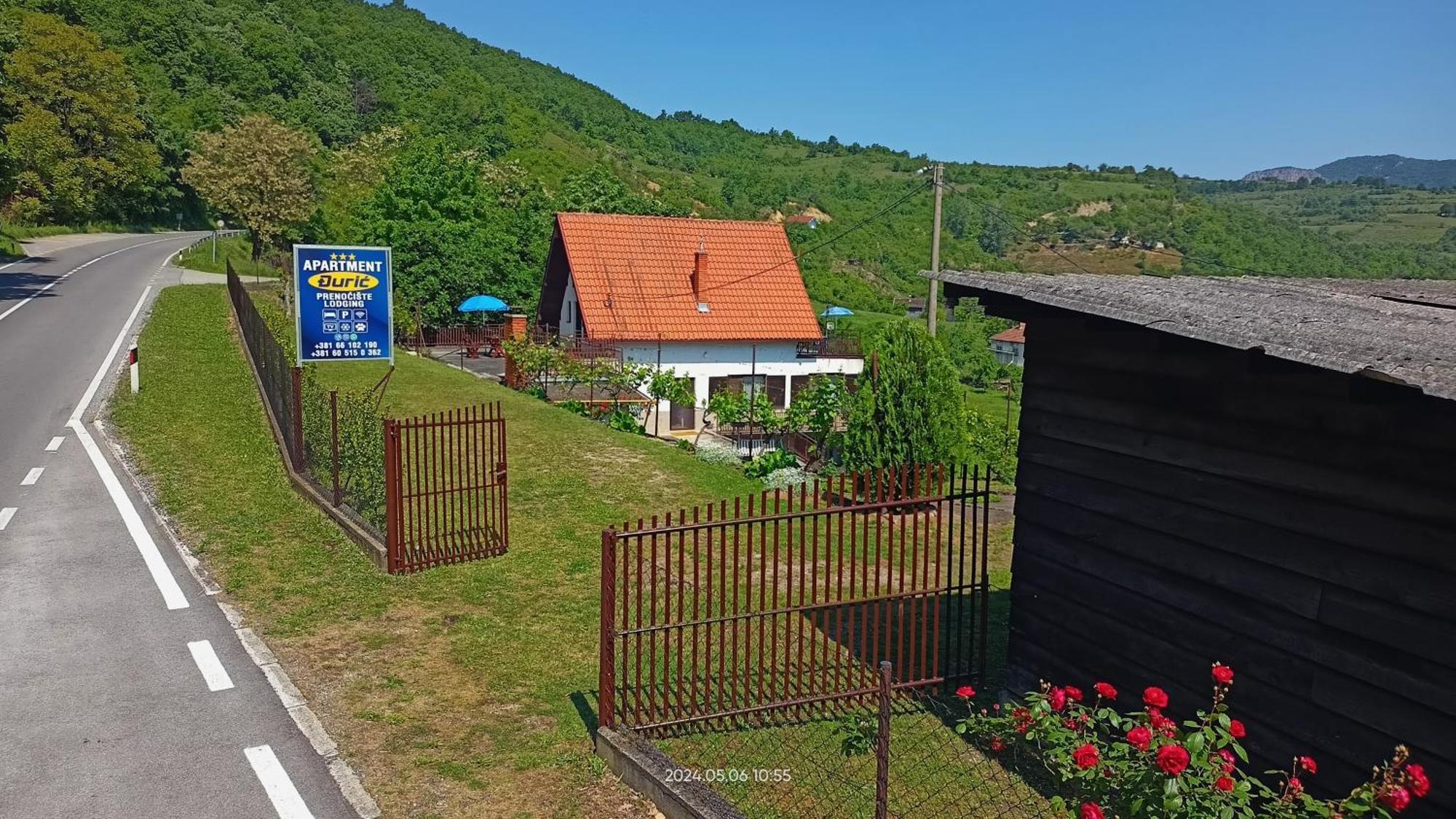 Apartman Duric Donji Milanovac Kültér fotó
